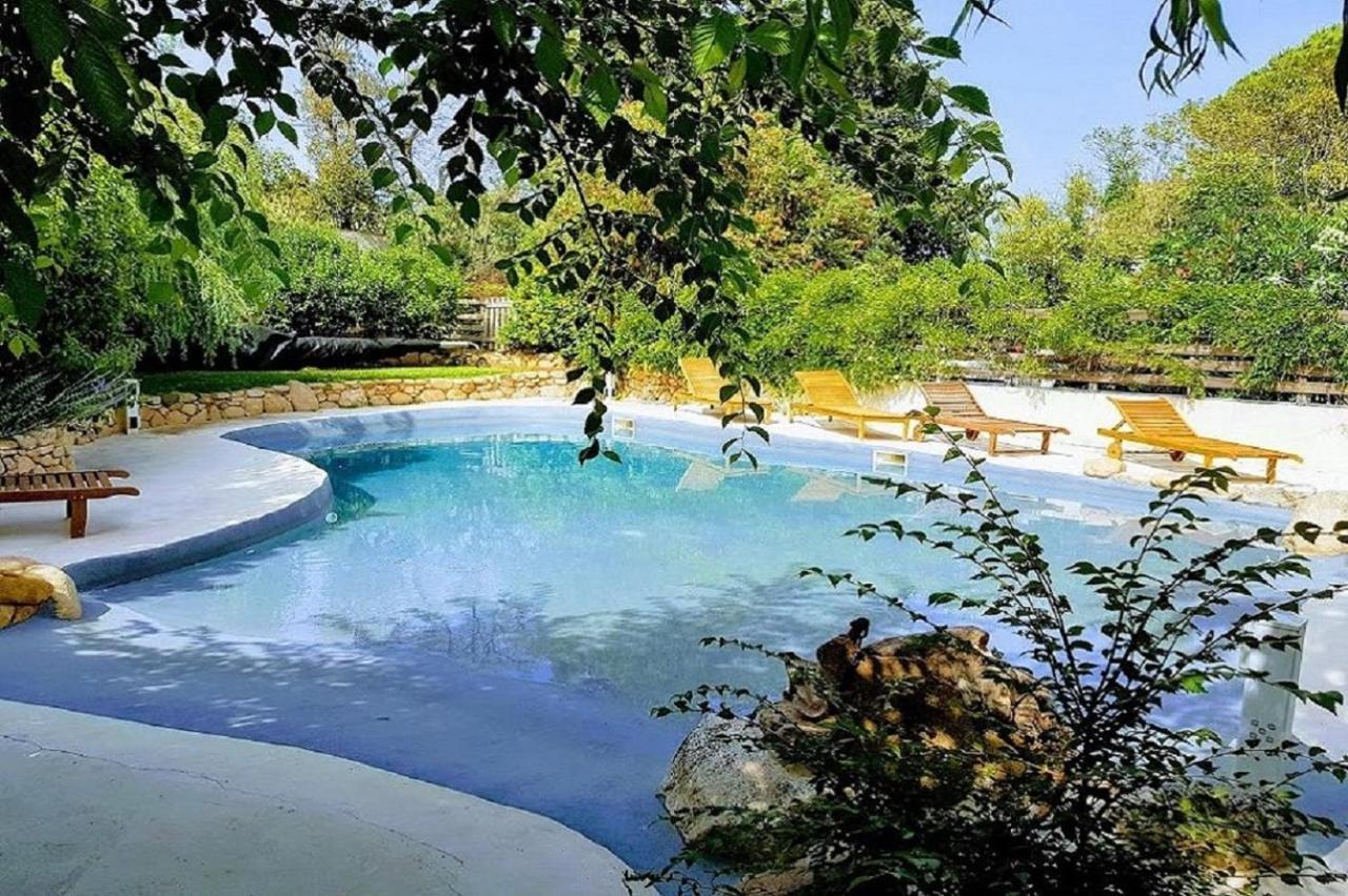 Salvacintoggio -Votre Villa Avec Piscine Privee- Porto-Vecchio  Ngoại thất bức ảnh
